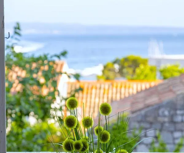 Stone Majestic W Pool - Center * 斯普利特